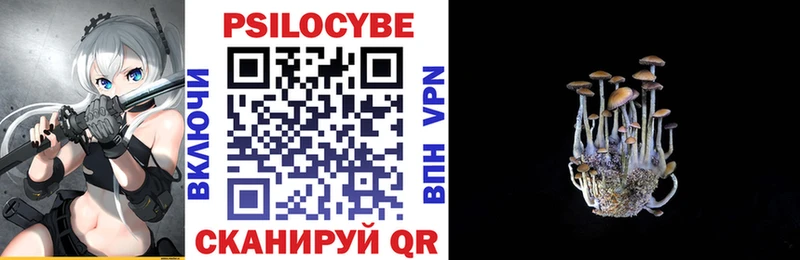 Псилоцибиновые грибы Psilocybine cubensis  наркошоп  блэк спрут ссылка  Оса 